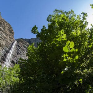Cascade de la Pisse à Châteauroux-les-Alpes, ©Le Naturographe