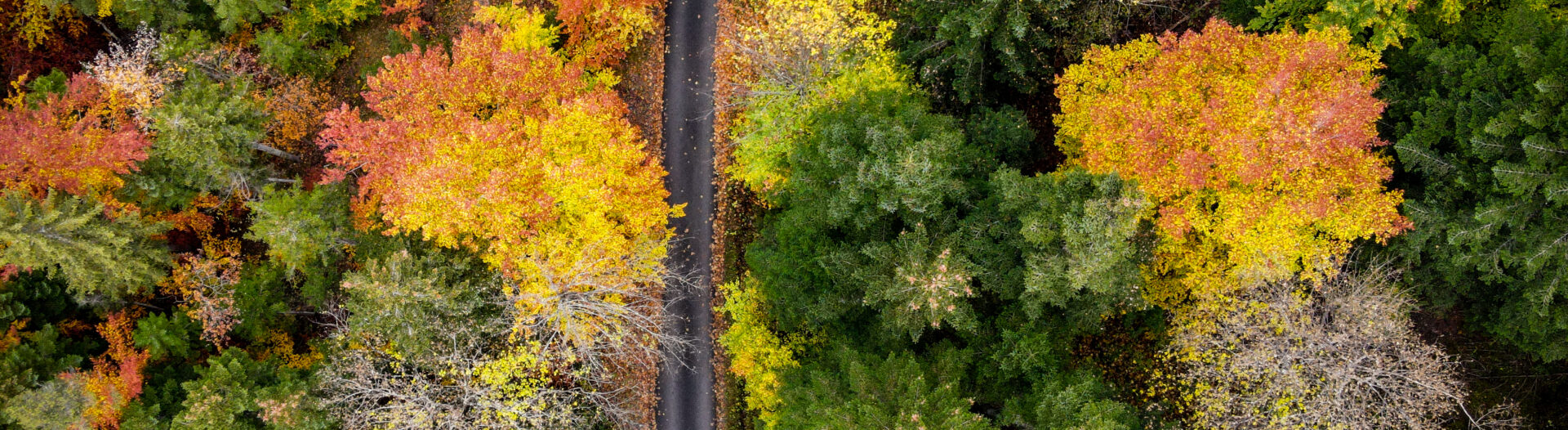 L'automne à Serre-Poncon