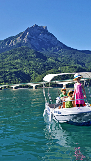 Bateau électrique